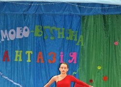 Зимово-весняна фантазія